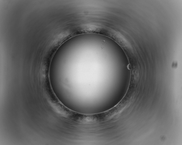 X0000102340546200808011143