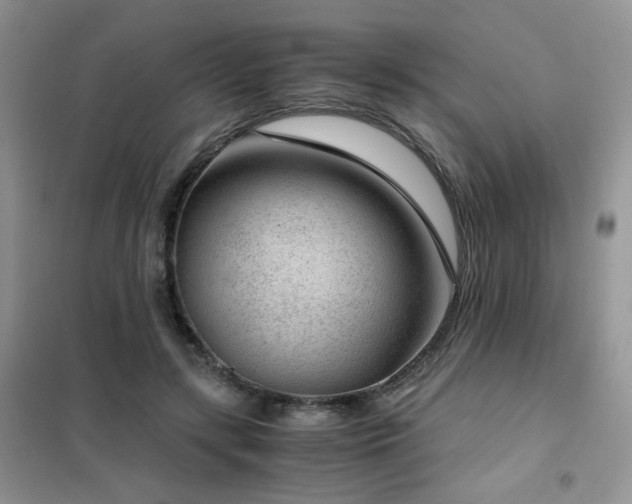 X0000102340547200808011143