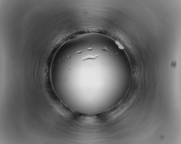 X0000102340548200808011143