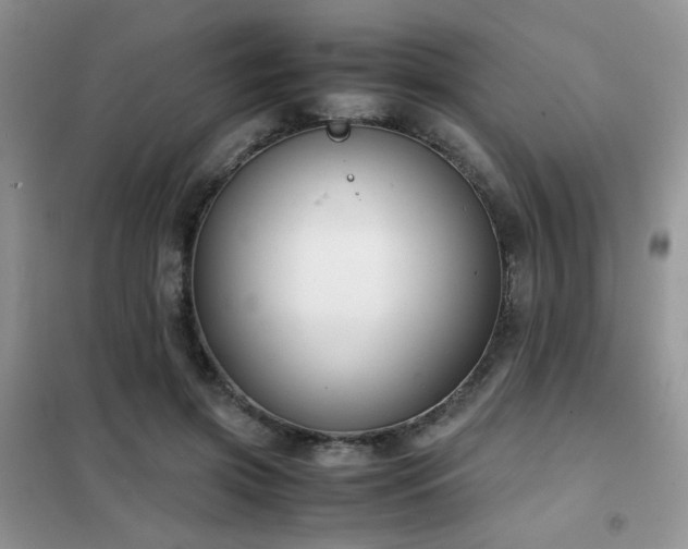 X0000102340549200808011143