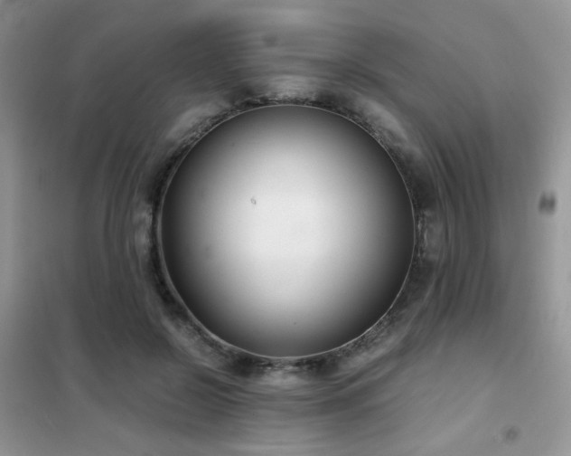 X0000102340550200808011143