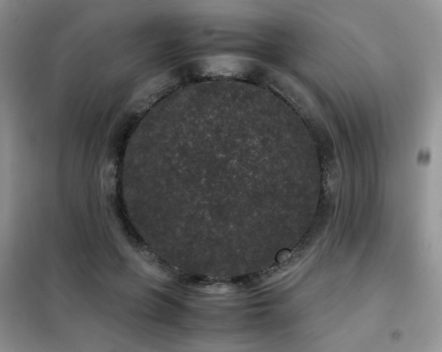 X0000102340551200808011143