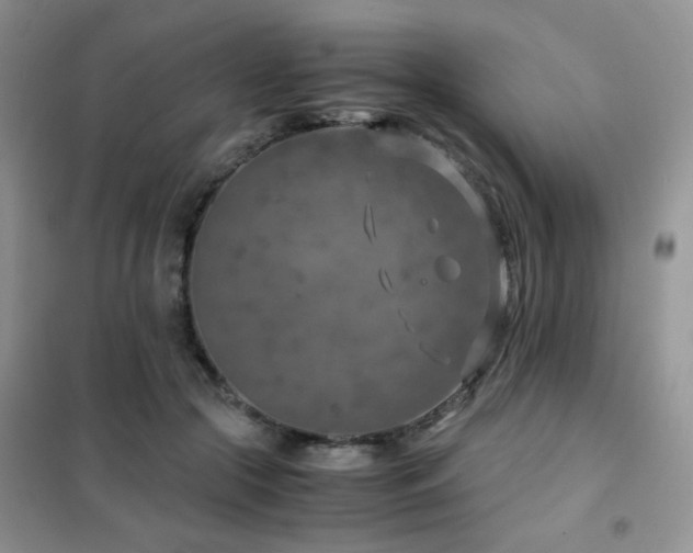 X0000102340553200808011143