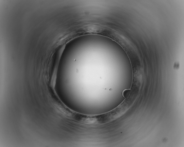 X0000102340554200808011143