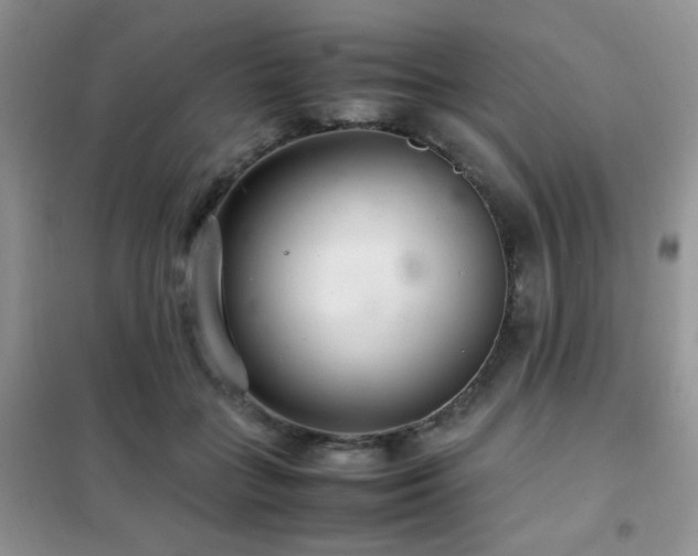 X0000102340555200808011143