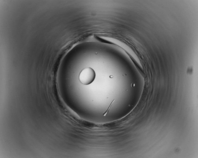 X0000102340556200808011143