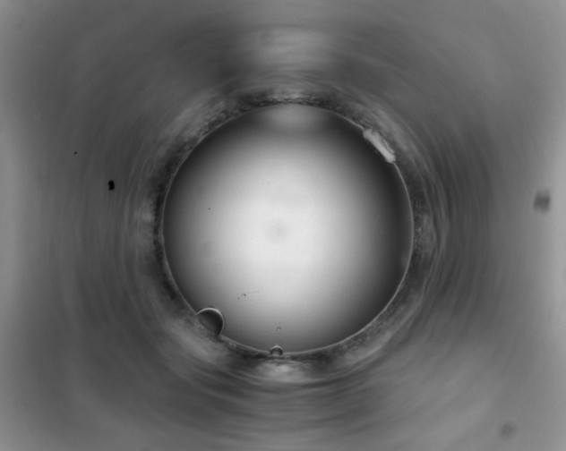 X0000102340557200808011143