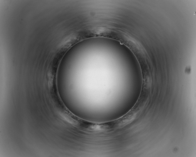 X0000102340558200808011143