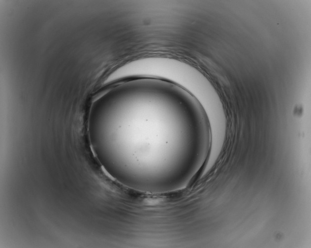 X0000102340560200808011143