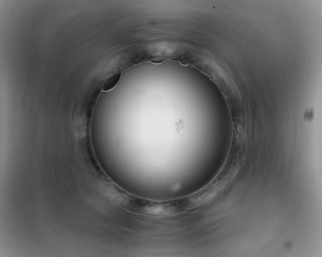 X0000102340561200808011143