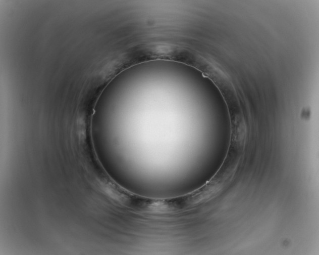 X0000102340562200808011143