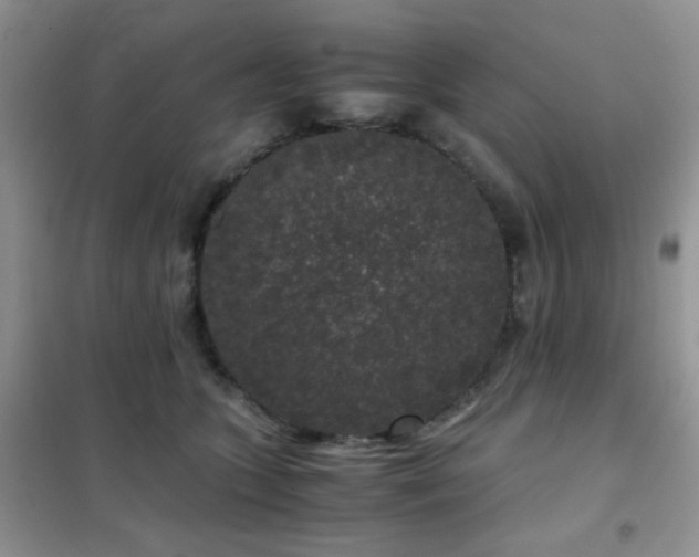 X0000102340563200808011143