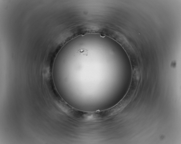 X0000102340564200808011143