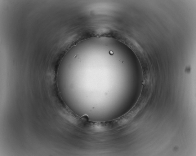 X0000102340565200808011143