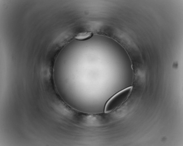 X0000102340566200808011143