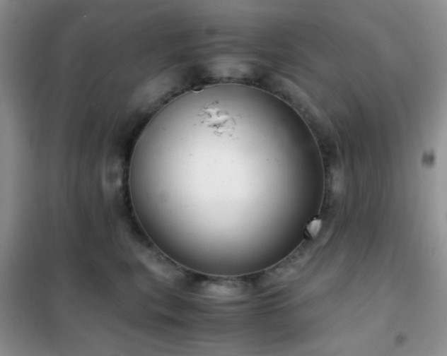 X0000102340567200808011143