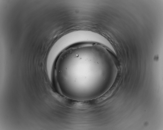 X0000102340568200808011143