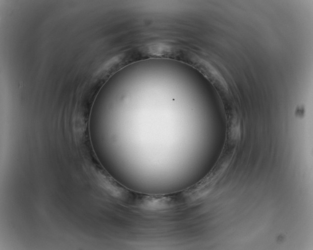 X0000102340569200808011143