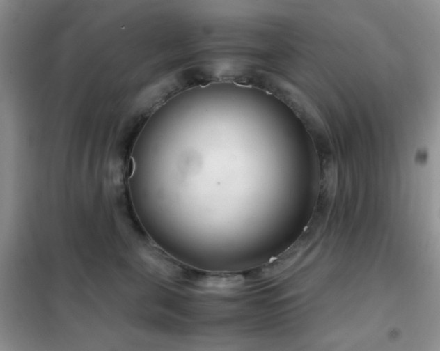 X0000102340571200808011143