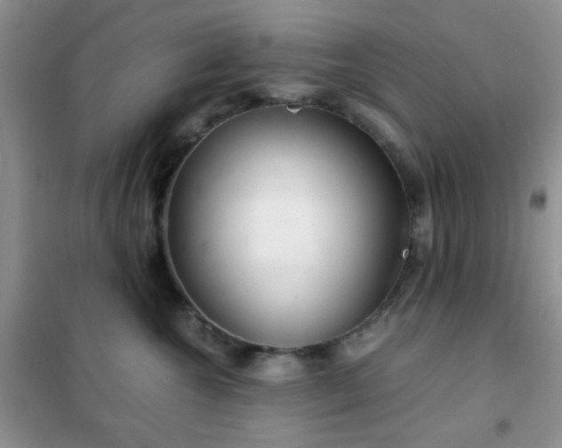 X0000102340572200808011143