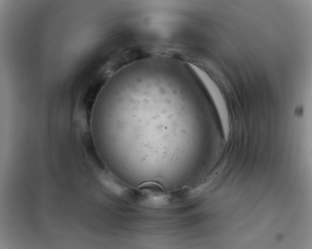 X0000102340573200808011143