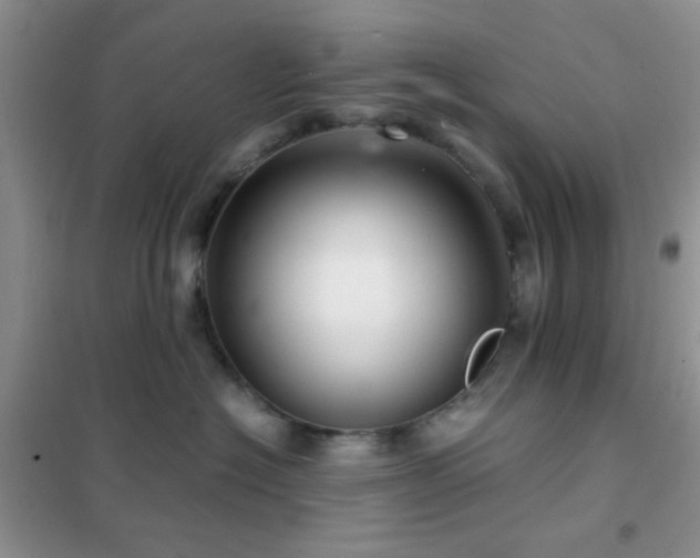 X0000102340574200808011143