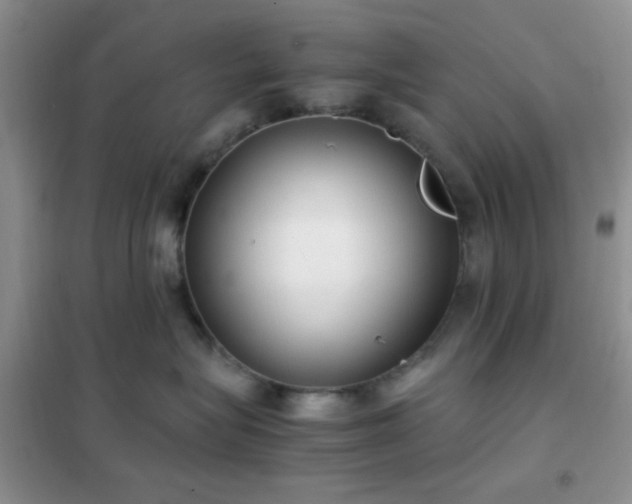 X0000102340575200808011143