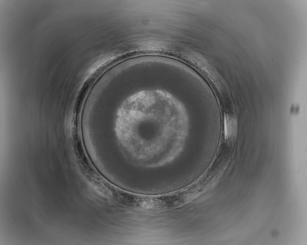 X0000102340579200808011143