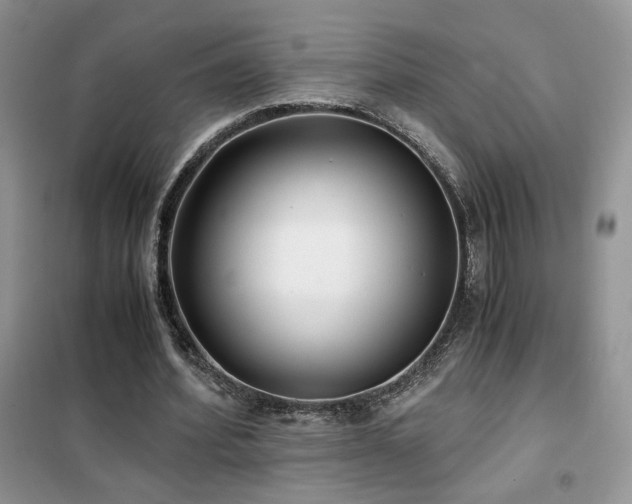 X0000102340580200808011143