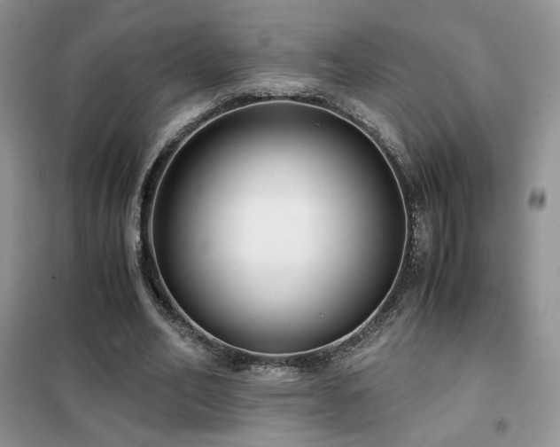 X0000102340582200808011143