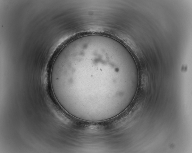 X0000102340584200808011143