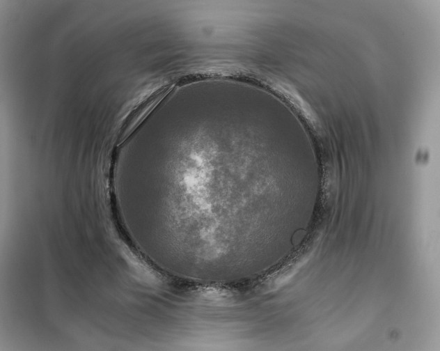 X0000102340585200808011142