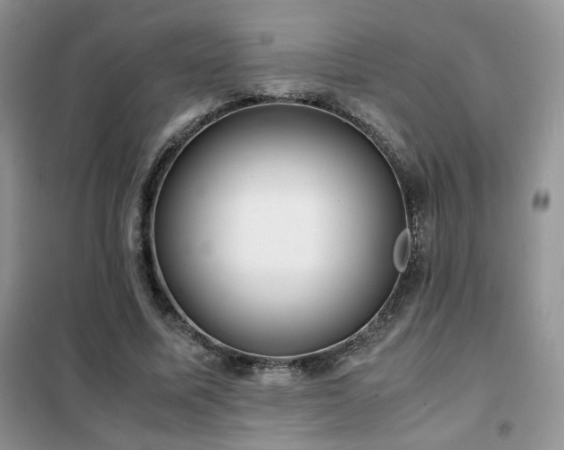 X0000102340587200808011142