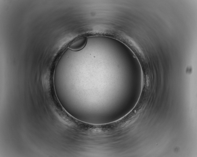 X0000102340588200808011142