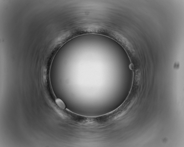 X0000102340589200808011142