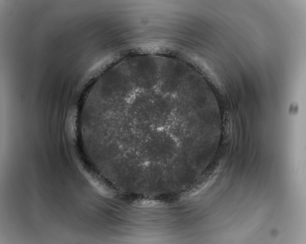 X0000102340590200808011142