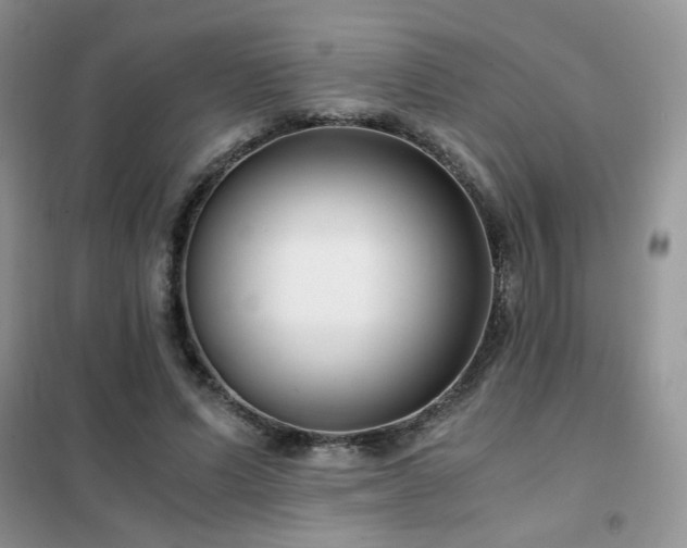 X0000102340591200808011142