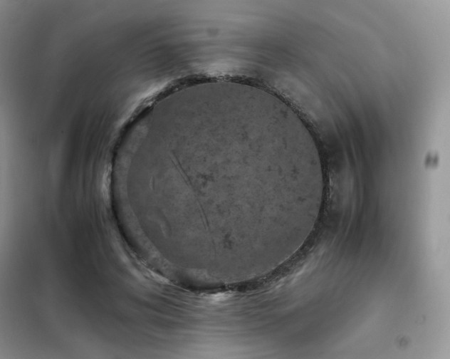 X0000102340592200808011142