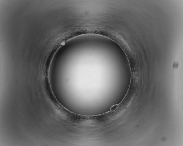 X0000102340593200808011142