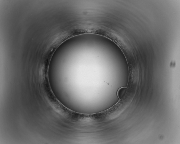 X0000102340594200808011142