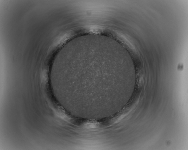 X0000102340595200808011142