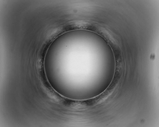 X0000102340597200808011142