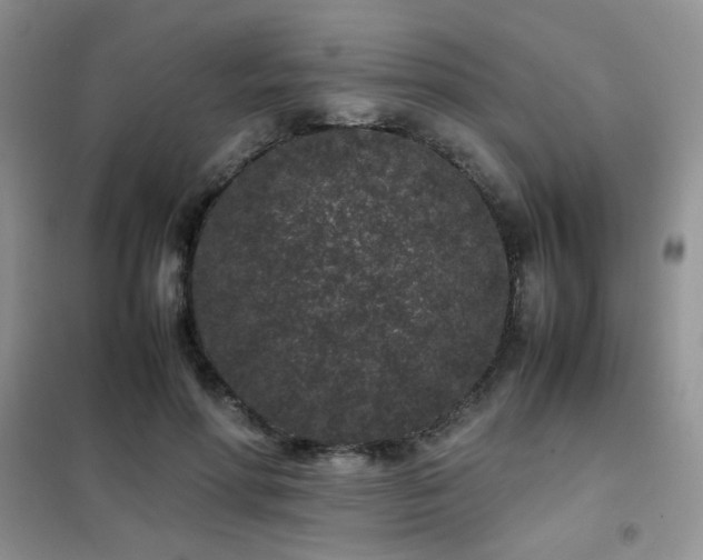 X0000102340598200808011142