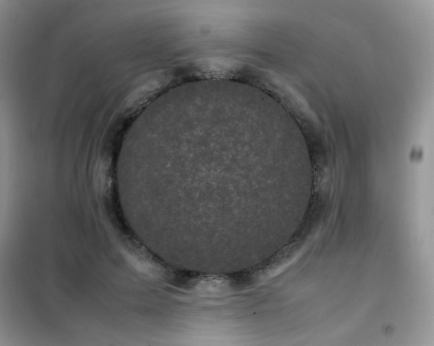 X0000102340599200808011142