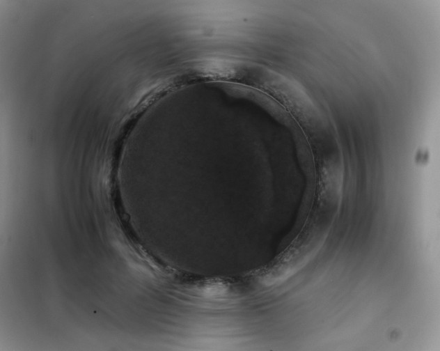 X0000102340600200808011142