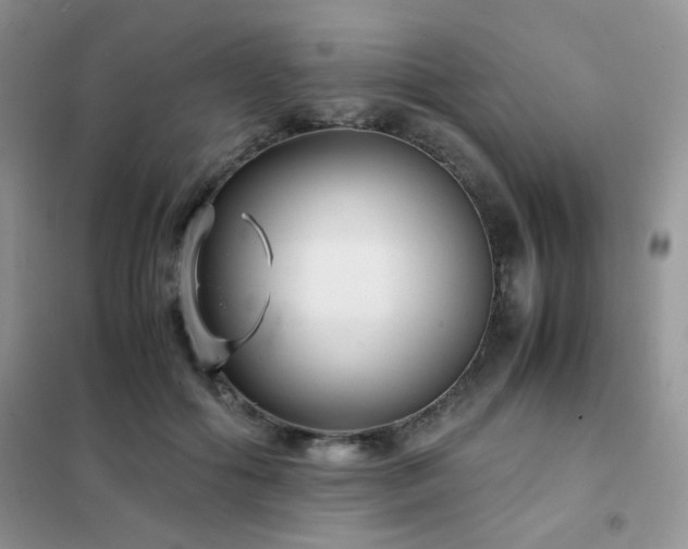 X0000102340602200808011142