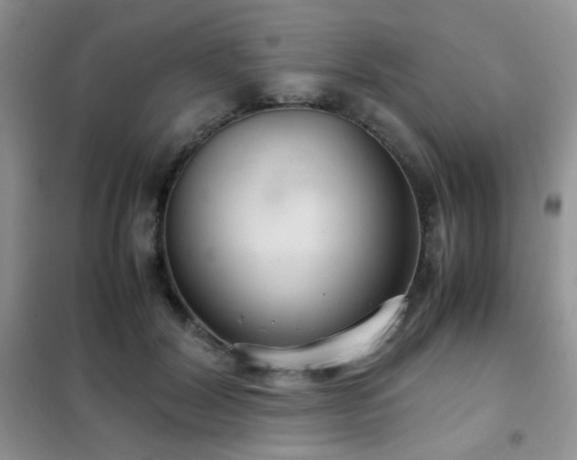 X0000102340604200808011142