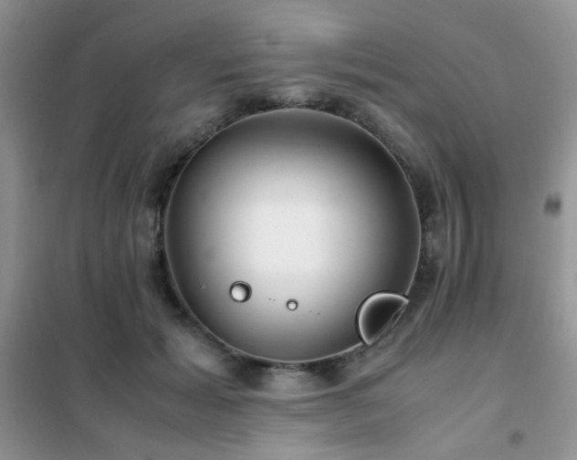 X0000102340605200808011142