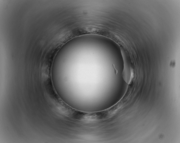 X0000102340606200808011142