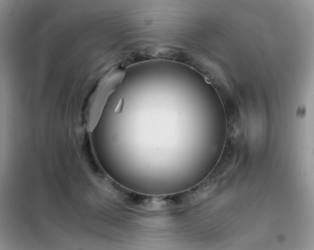 X0000102340607200808011142